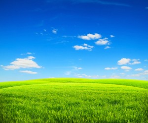 Green meadow under a  blue sky.